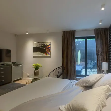 Chic 4 Bedrooms Istrian Star Close To Centre Villa